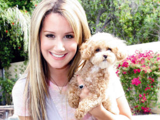 Ashley Tisdale With Dog Photos wallpaper