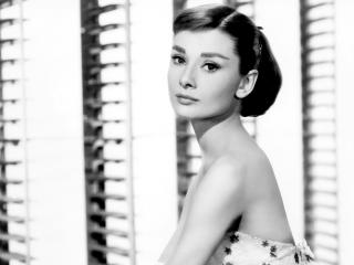 Audrey Hepburn Back And White Hd Wallpaper wallpaper