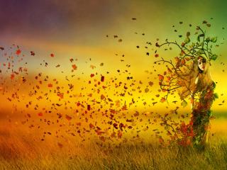 autumn, girl, leaves wallpaper