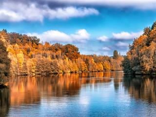 autumn, lake, trees wallpaper