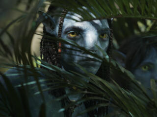 Avatar 2022 Movie wallpaper