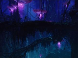 Avatar Movie Zoom wallpaper