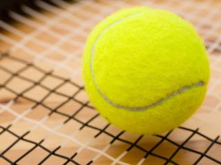 ball, tennis, net wallpaper