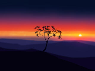 Beautiful 4K Sunset in Mountains and A Single Tree wallpaper