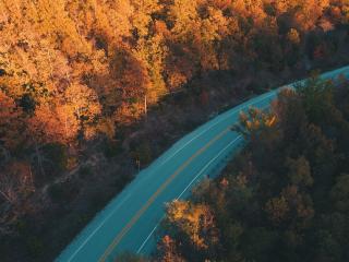 Beautiful Road And Forest In Fall Wallpaper