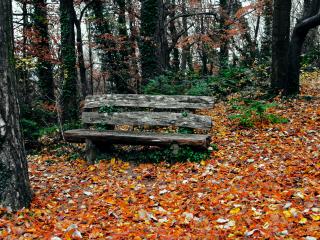 bench, autumn, park Wallpaper