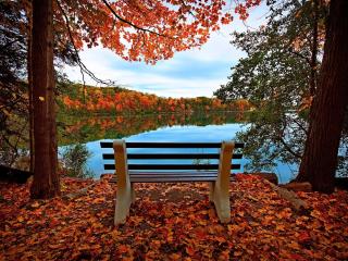 bench, autumn, river wallpaper