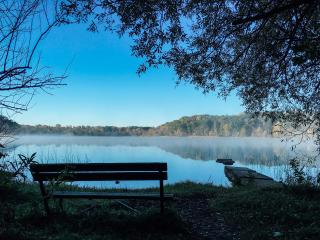 bench, lake, landscape wallpaper