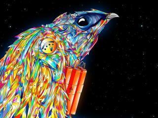 bird, paint, colorful wallpaper