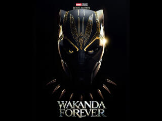 Black Panther: Wakanda Forever HD Fan Art Poster wallpaper