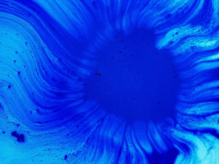 Blue Swirl Abstract Art wallpaper