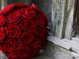 bouquet, roses, red Wallpaper