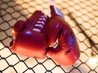 boxing gloves, fight, boxing Wallpaper