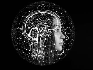 Brain Artificial intelligence Human HD Wallpaper