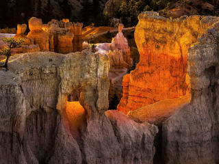 bryce canyon, national park, utah wallpaper