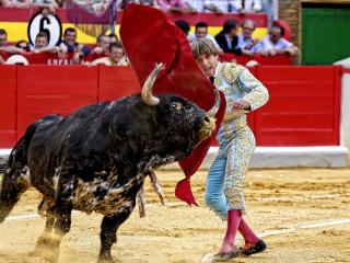 bullfighter, bull, spain Wallpaper