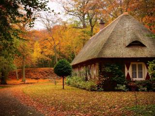 cabins, forest, autumn wallpaper