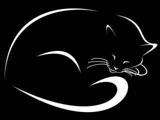 cat, black, vector Wallpaper