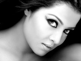 Celina Jaitly In Black And White Photos wallpaper