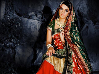 Celina Jaitly In Red And Green Saree wallpaper