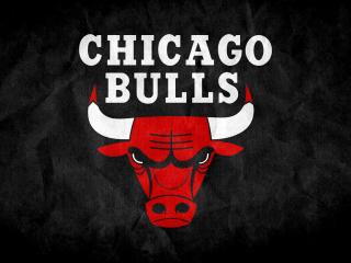 chicago bulls, 2015, logo Wallpaper