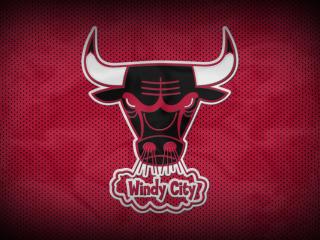 chicago bulls, bull, basketball wallpaper