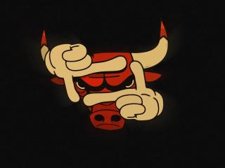 chicago bulls, nba, basketball wallpaper
