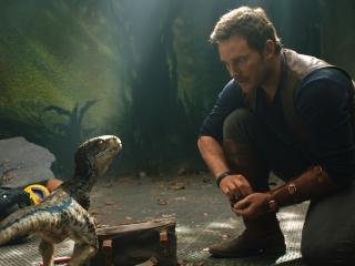Chris Pratt And Little Raptor Jurassic World wallpaper