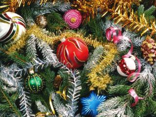 christmas tree, needles, holiday wallpaper
