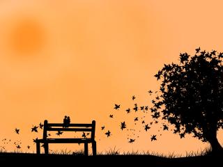 couple, bench, leaves wallpaper