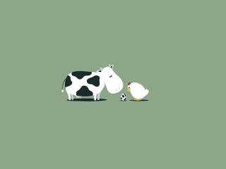 cow, chicken, eggs wallpaper