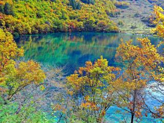 crystalline turquoise lake, jiuzhaigou national park, china wallpaper