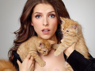 Cute Anna Kendrick Playing With Kittens wallpaper