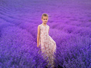 Cute Girl In Lavender Field wallpaper