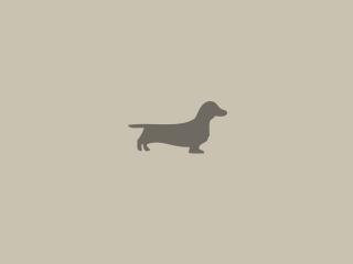 dachshund, dog, minimalism wallpaper