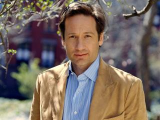 David Duchovny Images wallpaper