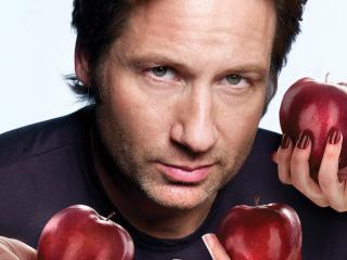 David Duchovny New Arrival Images wallpaper