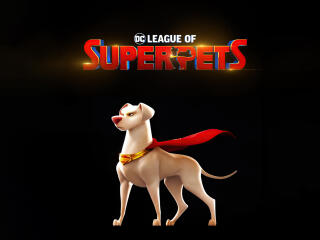 DC League Of Super-Pets HD wallpaper