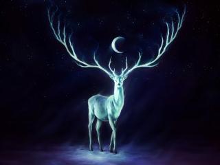 deer, horns, moon wallpaper