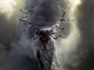 deer, smoke, run Wallpaper