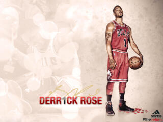 Derrick Rose HD NBA wallpaper
