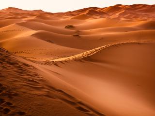 desert, morocco, dune wallpaper