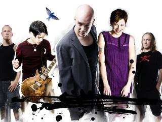 devin townsend project, bald, graphics Wallpaper