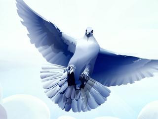 dove, bird, feather wallpaper