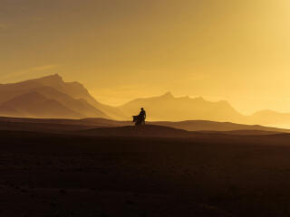 Dune Arrakis Paul wallpaper
