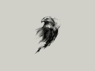 eagle, art, black wallpaper