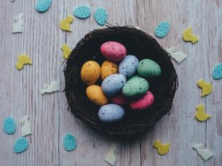 easter, colored eggs, quail eggs wallpaper