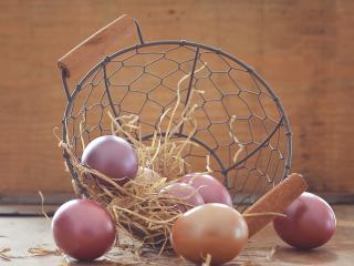 easter eggs, eggs, basket Wallpaper