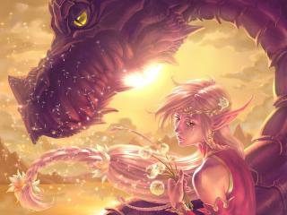 elf, dungeons and dragons, dragon wallpaper