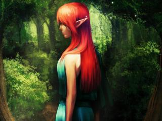 elf, girl, forest wallpaper